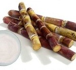 sugar cane extract